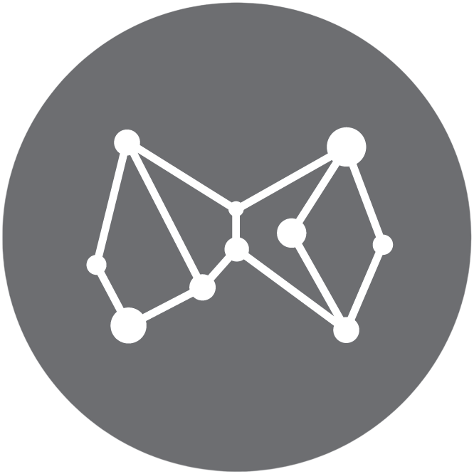 Metrika Data Network Symbol